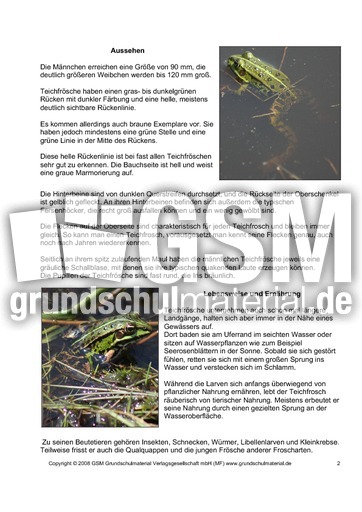 Steckbrief-Teichfrosch-Seite-2.pdf